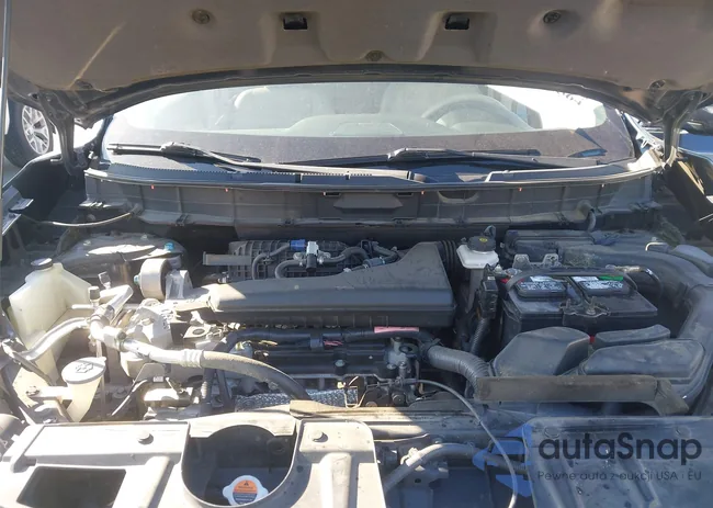 5N1AT2MV3FC796517: 44385564