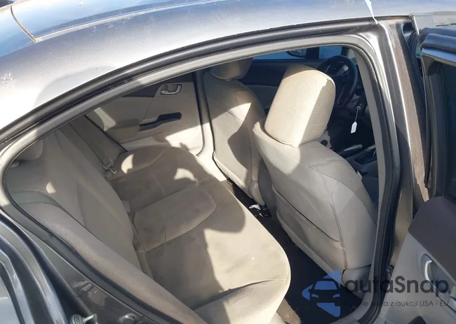 19XFB2F51CE354561: 44385648