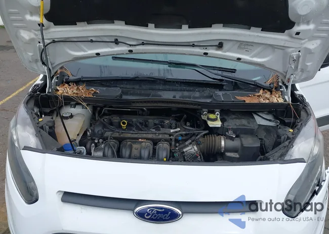 NM0LS7F73F1176111: 44385820