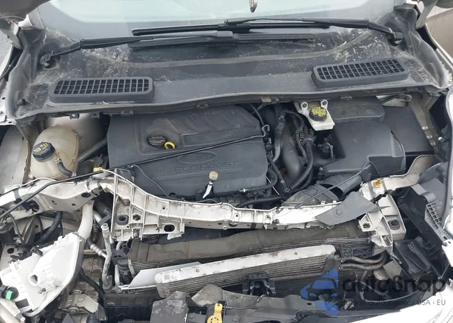 1FMCU9GD6HUD99866: 44387135