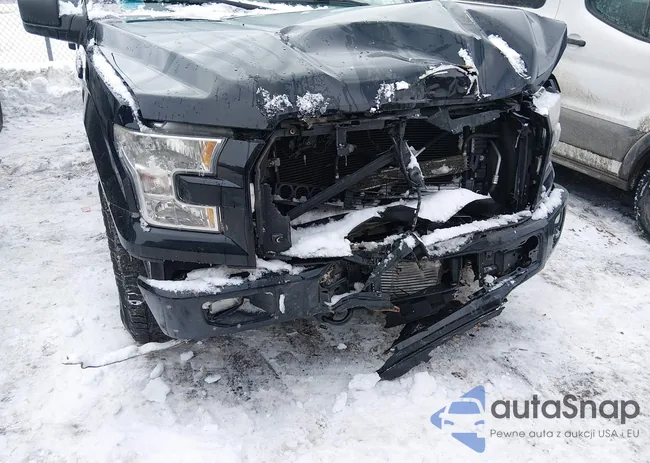 1FTEX1EPXGFA81156: 44386798