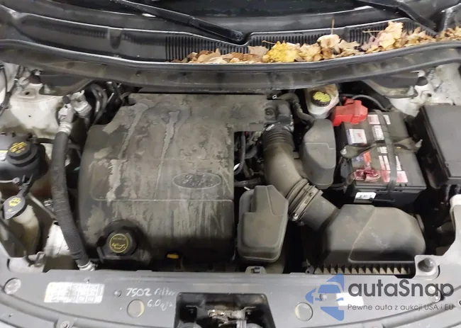 1FM5K8F81HGD97339: 44388155