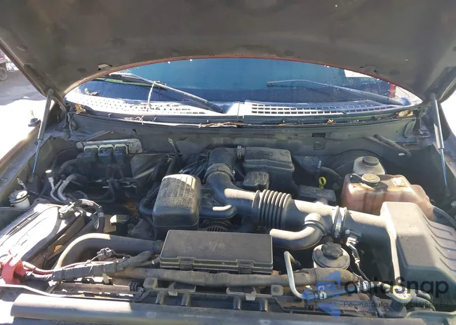 1FTFX1CV6AFD12891: 44388313