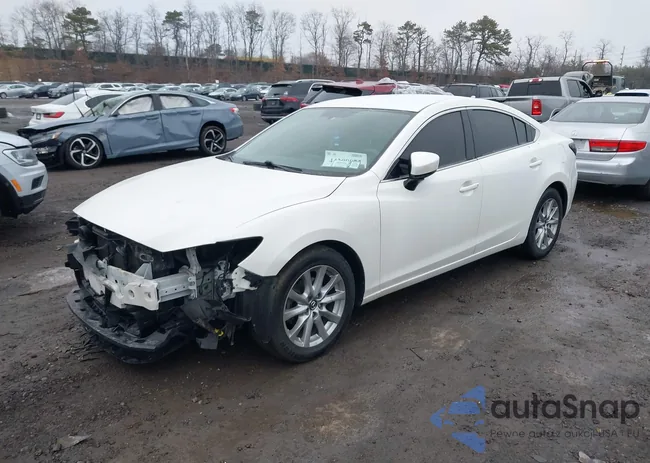 JM1GL1U52H1100298: 44388875