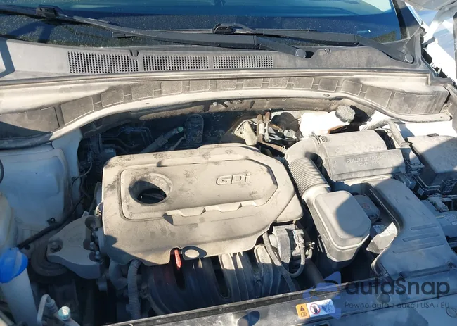 5NMZU3LB0JH088575: 44389254