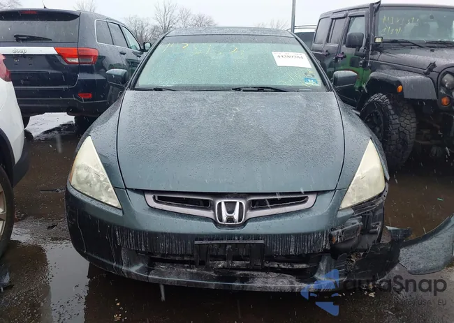 1HGCM56465A151307: 44389384