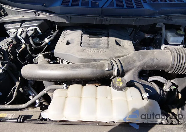 1FTFW1E8XMFB55073: 44390003