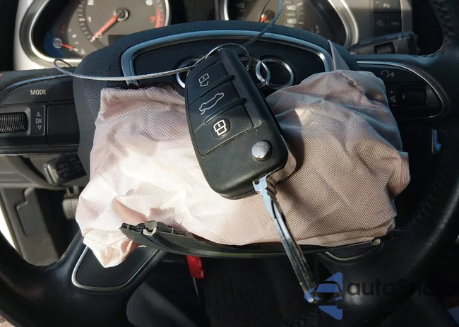 WA1LGAFE6FD003997: 44390087