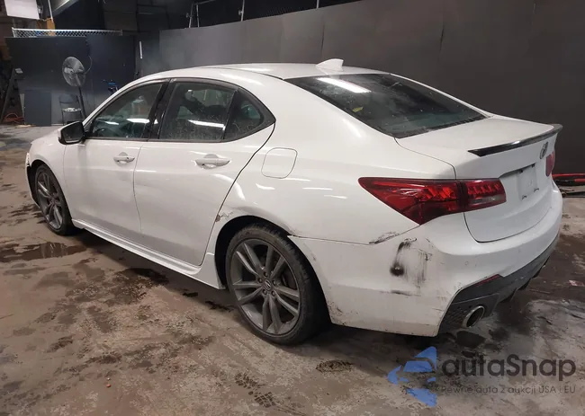 19UUB1F60KA001936: 44390091