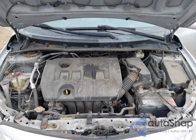 2T1BU4EE1CC787544: 44390325