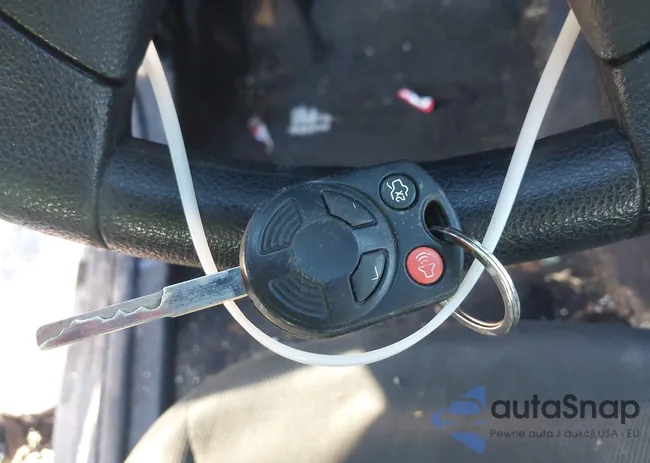 1FADP3E29DL206677: 44389661