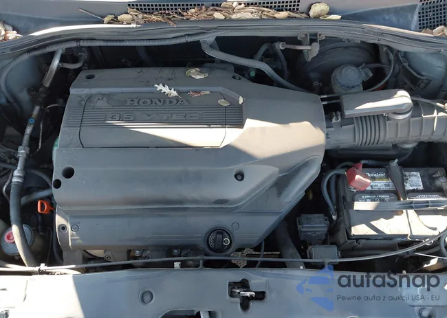 5FNRL18952B017419: 44390904