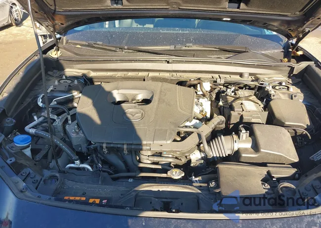 3MVDMBBM4RM705491: 44391084