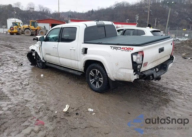 3TMCZ5AN4KM196910: 44391348