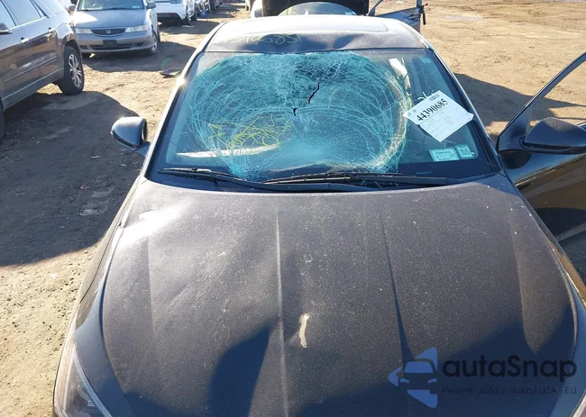 KMHD84LF9LU084801: 44390685