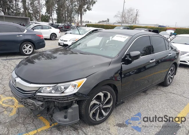 1HGCR3F03HA004787: 44390760