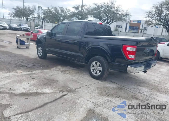 1FTFW1CD6NFB30446: 44391512