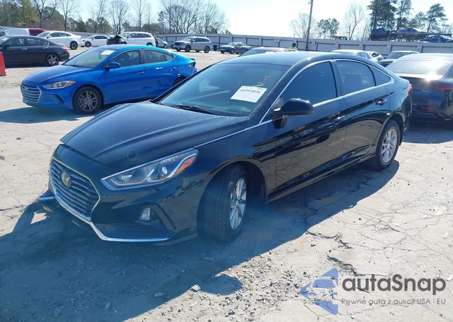 5NPE24AF4KH764899: 44393036