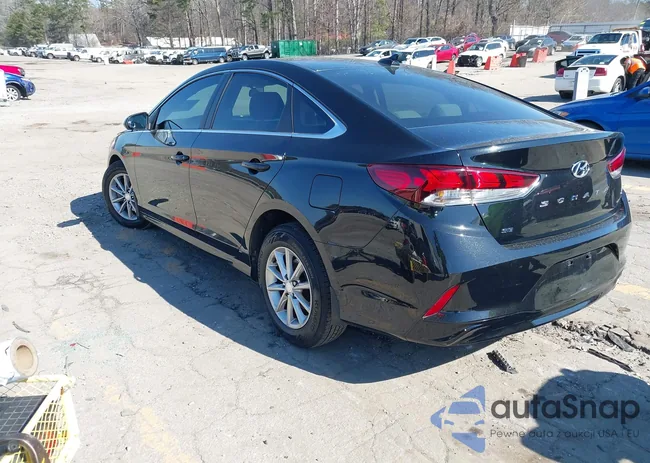 5NPE24AF4KH764899: 44393036