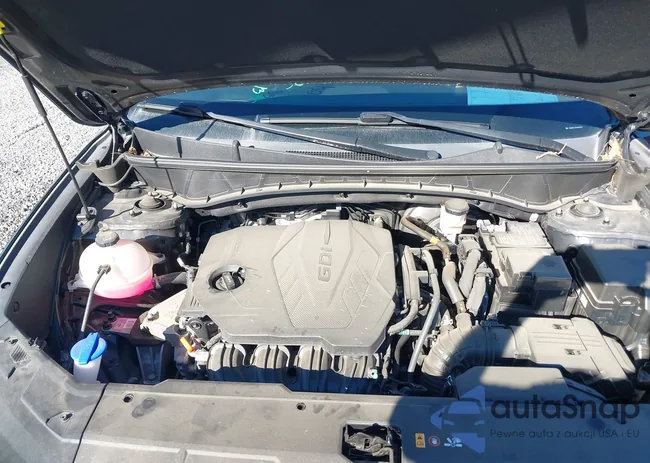 5NMJBCAE2NH079379: 44393132