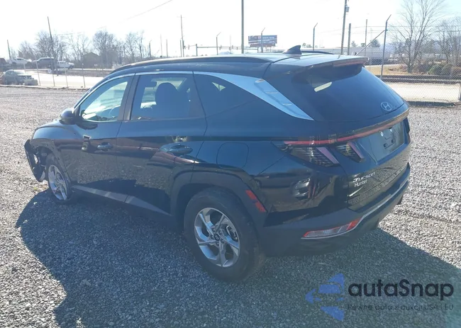 5NMJBCAE2NH079379: 44393132