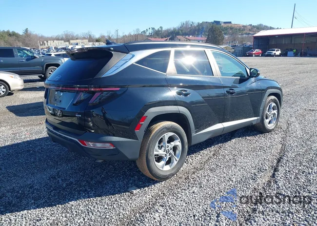 5NMJBCAE2NH079379: 44393132