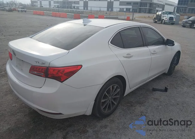 19UUB1F3XKA001092: 44392560