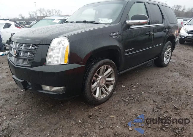 1GYS4CEFXDR316089: 44392656