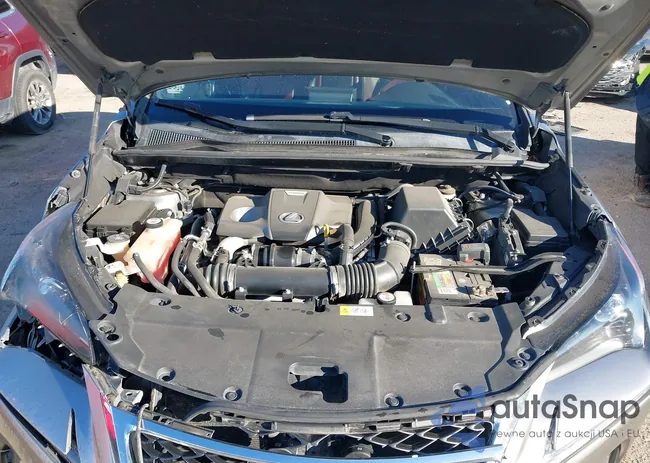 JTJYARBZ8H2056202: 44394056