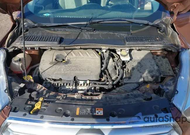 1FMCU0GD4HUA11657: 44394105