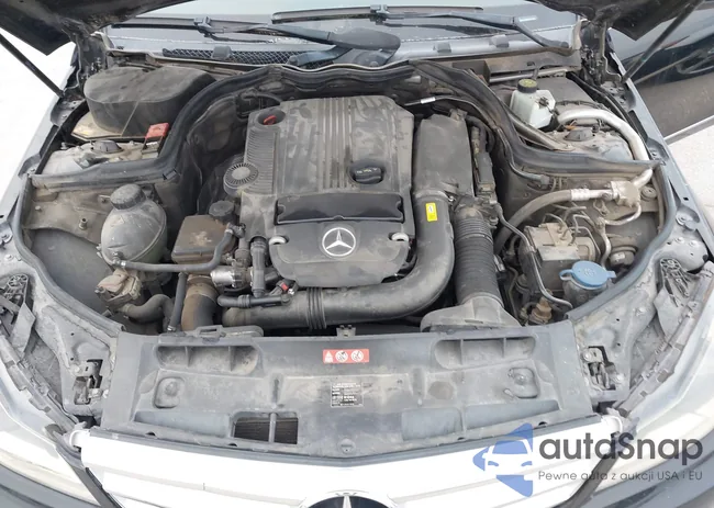 WDDGF4HB3DA776624: 44394413