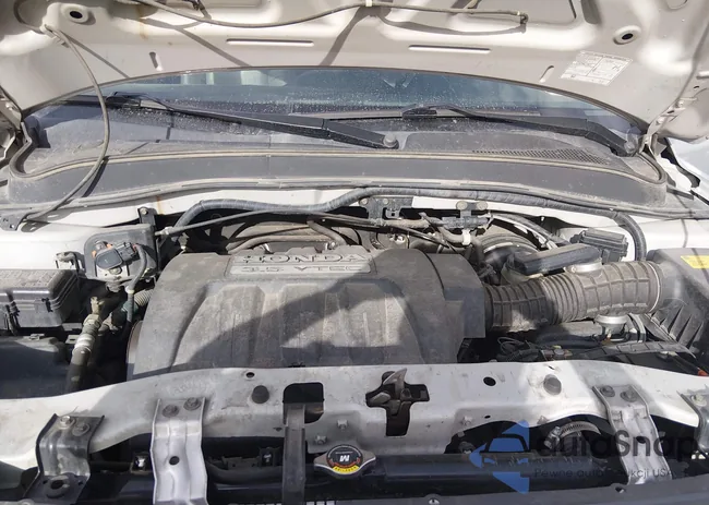 2HKYF18505H509538: 44393611