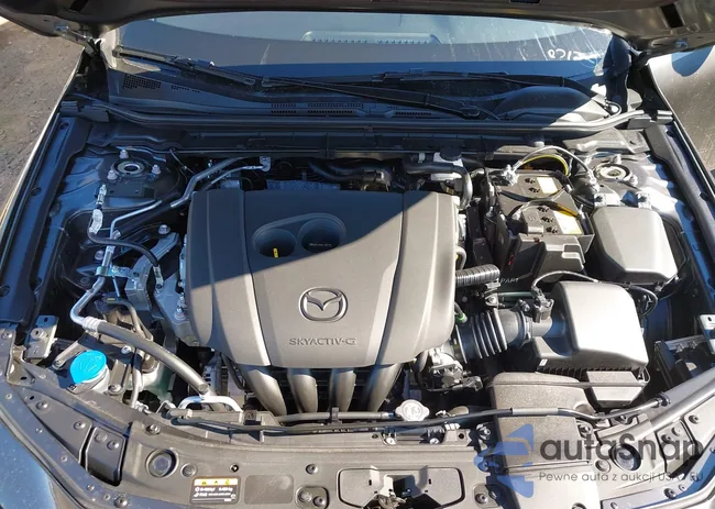 JM1BPALL5T1856506: 44393731