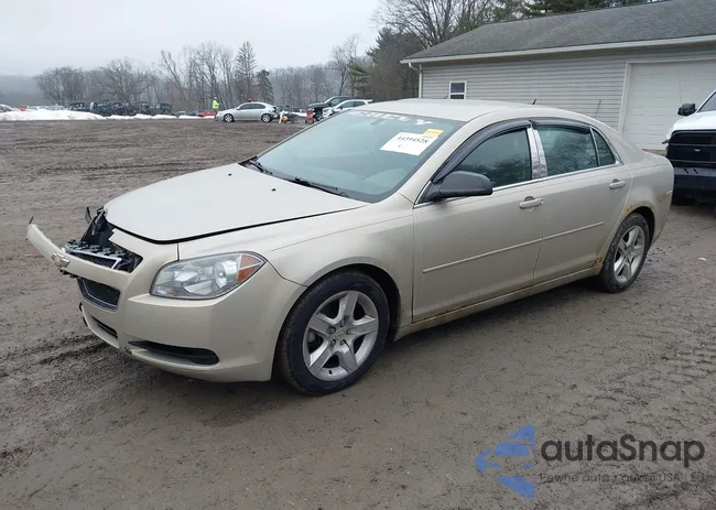 1G1ZB5E1XBF100745: 44394528