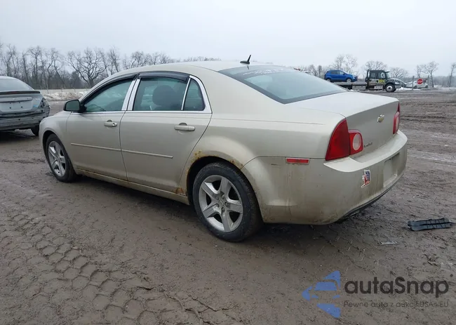 1G1ZB5E1XBF100745: 44394528