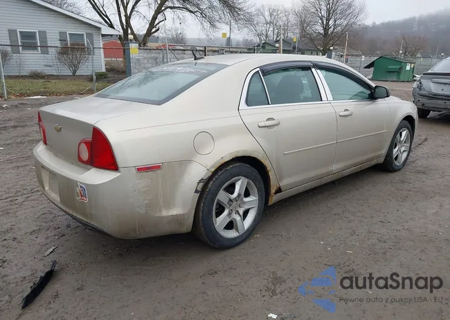 1G1ZB5E1XBF100745: 44394528