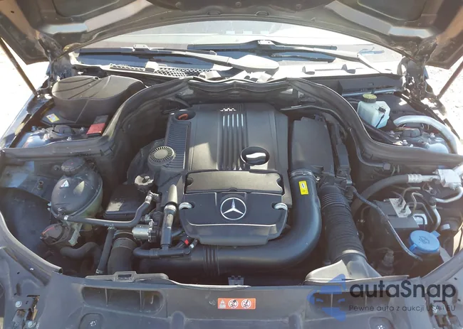 WDDGF4HB3DA831119: 44396242