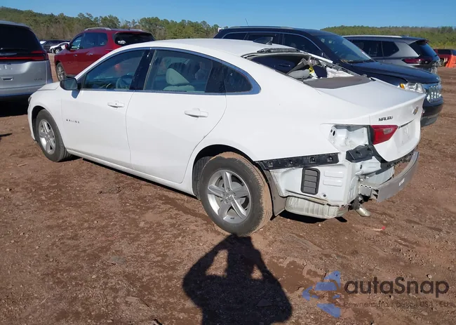 1G1ZC5ST5RF222653: 44396348