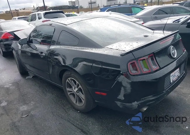 1ZVBP8AM6E5259605: 44395470