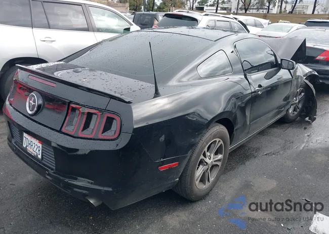 1ZVBP8AM6E5259605: 44395470