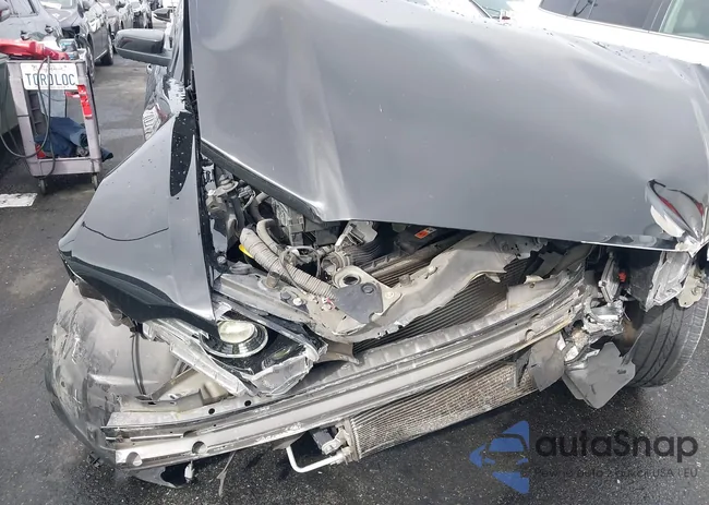 1ZVBP8AM6E5259605: 44395470