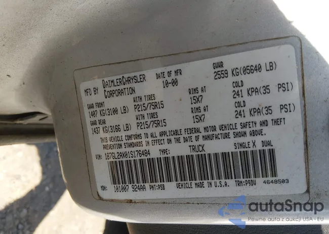 1B7GL2AX01S176484: 44395740