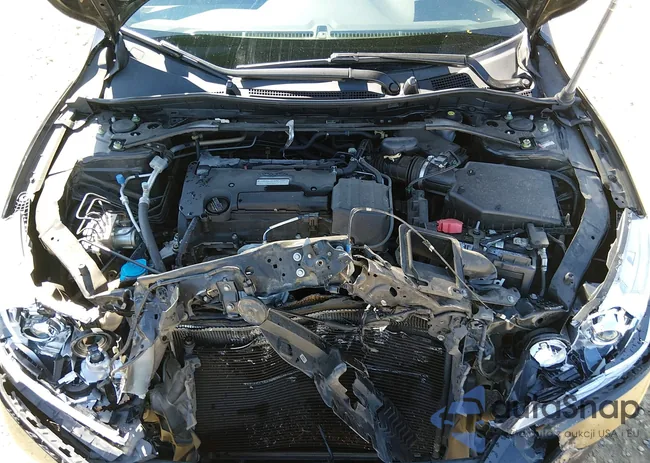 1HGCR2F52GA193159: 44396839