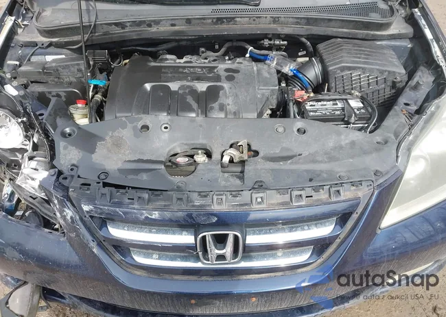 5FNRL38816B067243: 44397098