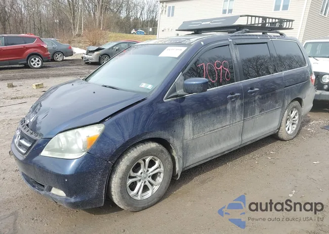 5FNRL38816B067243: 44397098