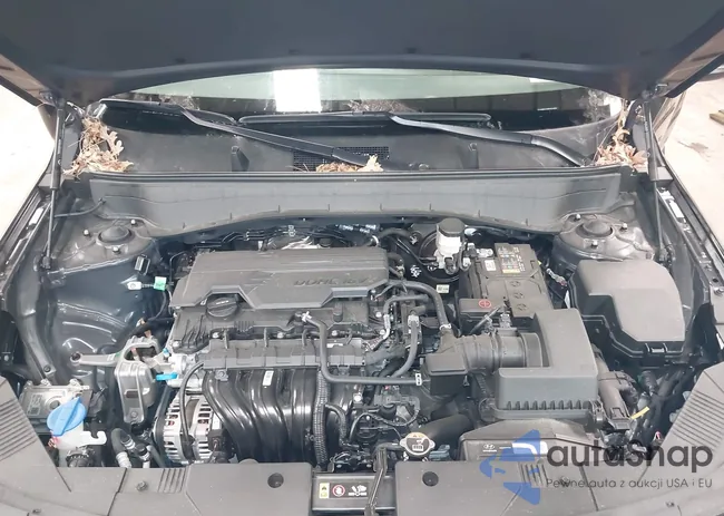 KM8HCCAB6SU214882: 44397258