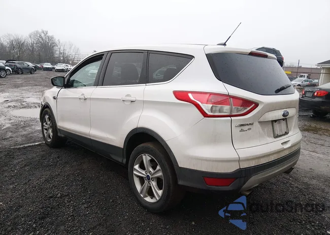 1FMCU9G9XEUD55425: 44396488