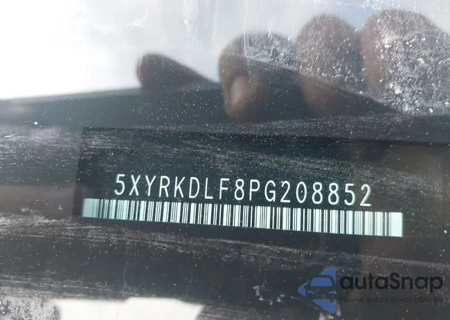 5XYRKDLF8PG208852: 44396766