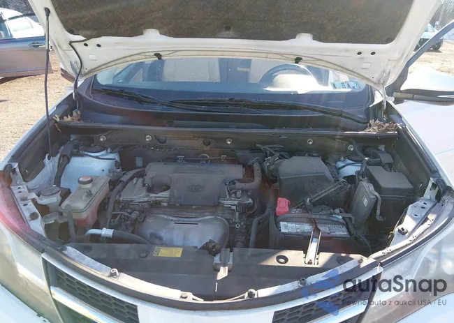 JTMRFREV2ED090119: 44397876