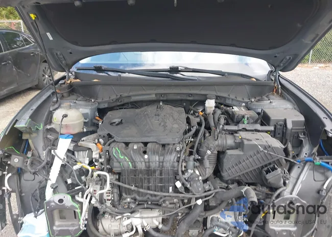 KM8JE3AE7NU053940: 44397938